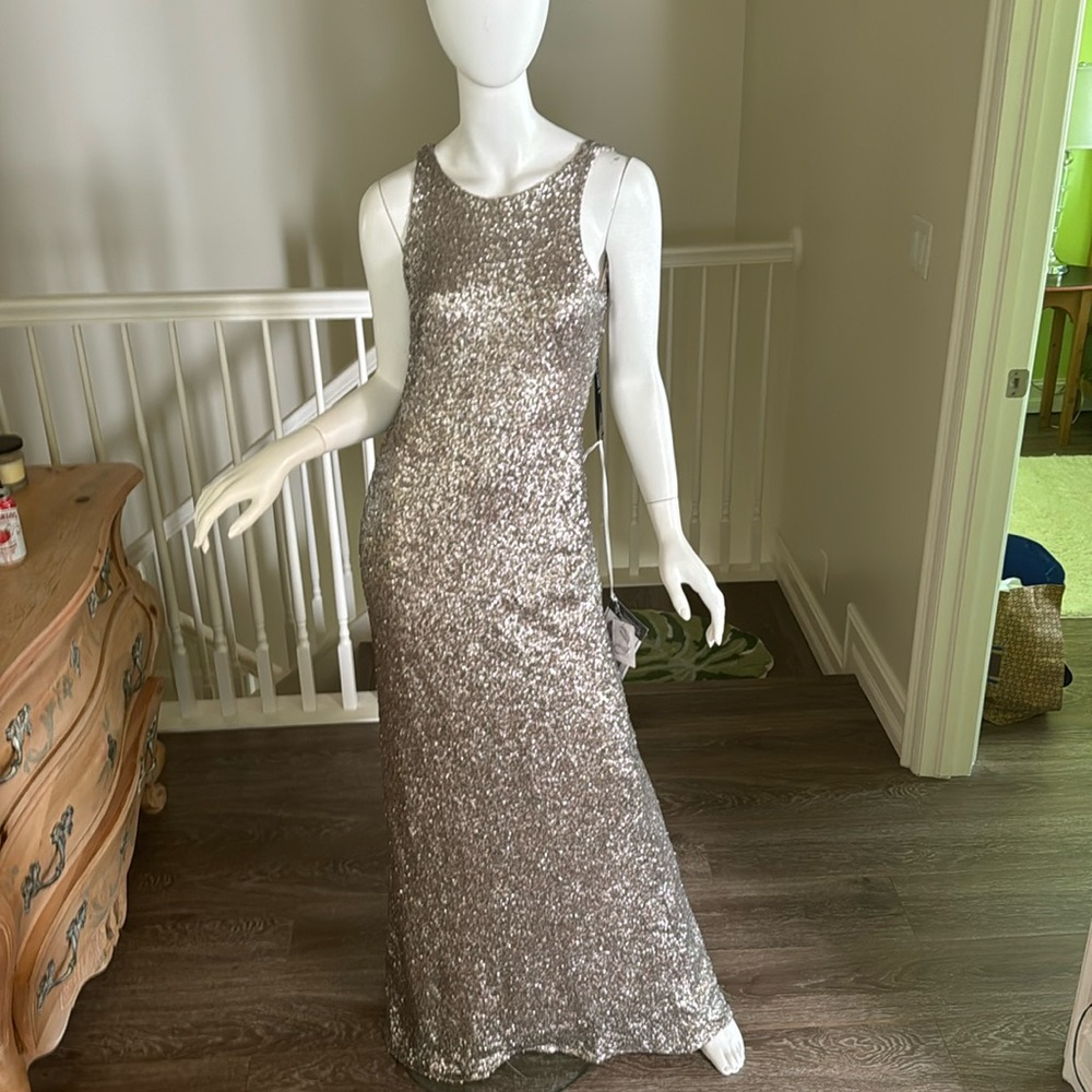 New Platinum Floor Length Open Back Sequin Sorella Vita Gown